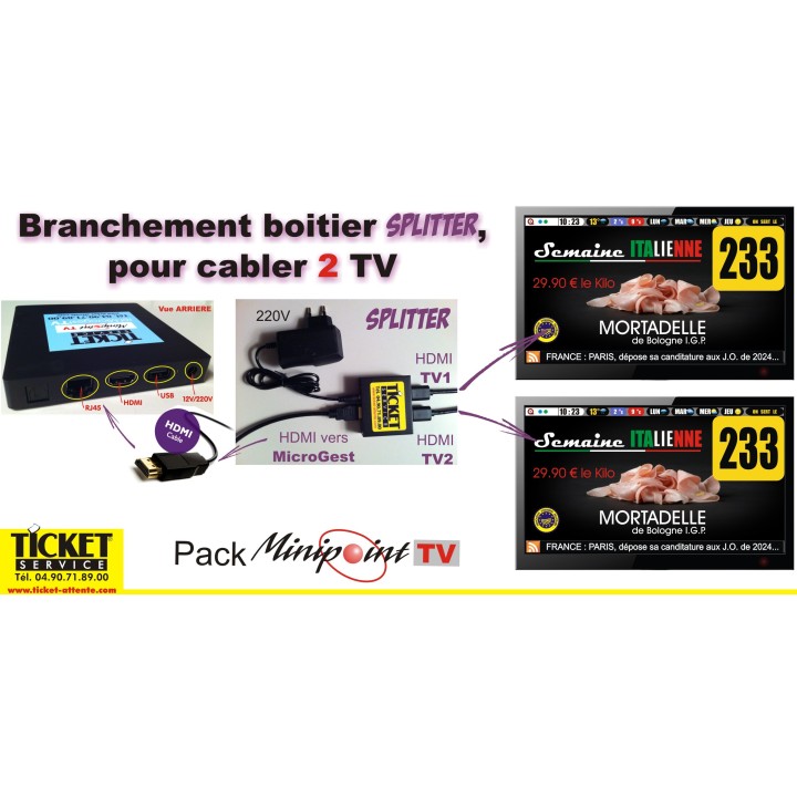 SPLITTER pour relier 2 écrans TV